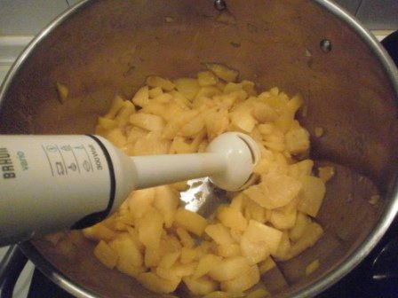 Fruta Triturada
