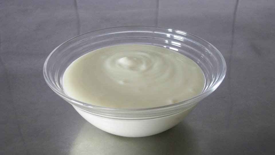 Yogur para hacer Postre de Yogur Griego