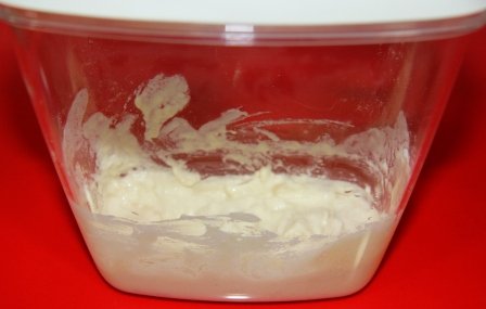 Pan Masa Madre
