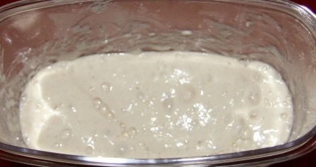 Pan Masa Madre