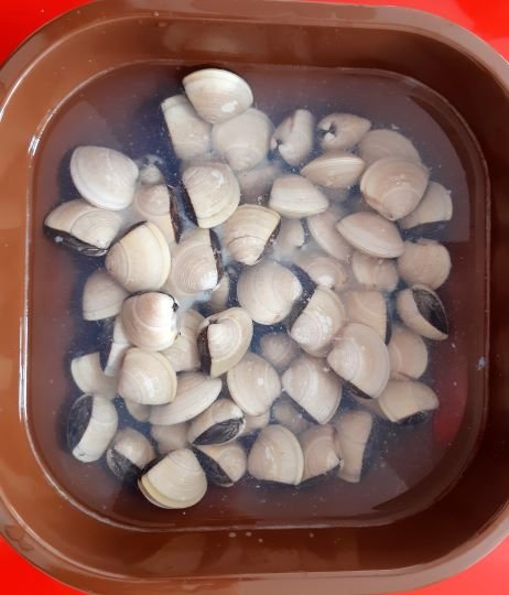 Almejas