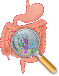 Infección intestinal de la Listeriosis y Alimentación