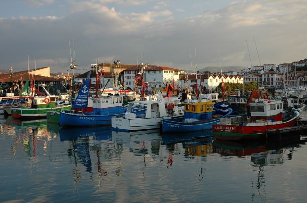 Puerto de Pesca y El Mercurio en la Alimentación y su Toxicidad