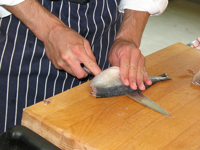 Cuchillo Pescado Cuchillos y su Mantenimiento
