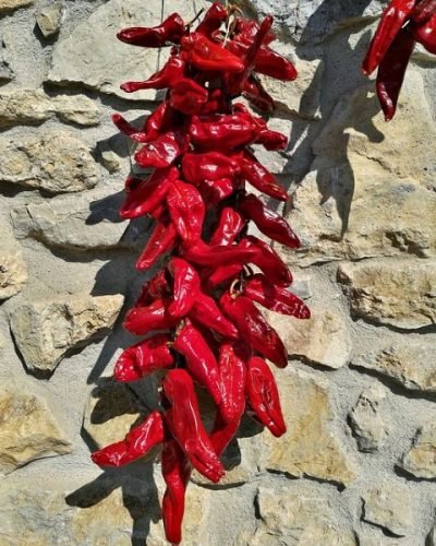 pimientos