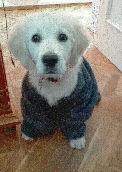 Xana come Delicias de Queso y Pollo