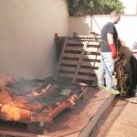 Calcots