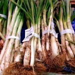 Calcots