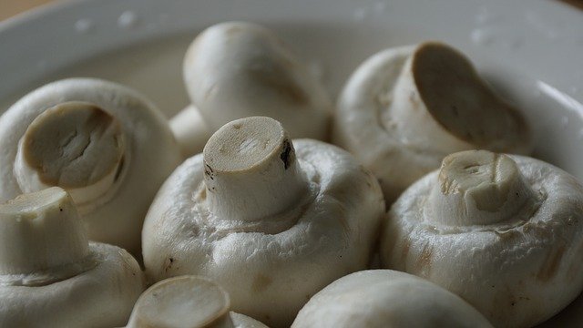 Champiñones, para hacer Champiñones Rellenos