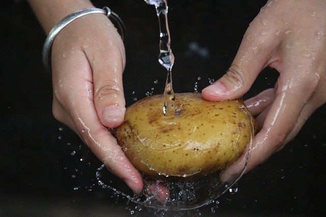 Patata