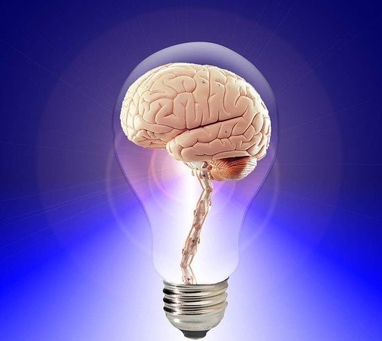 Cerebro