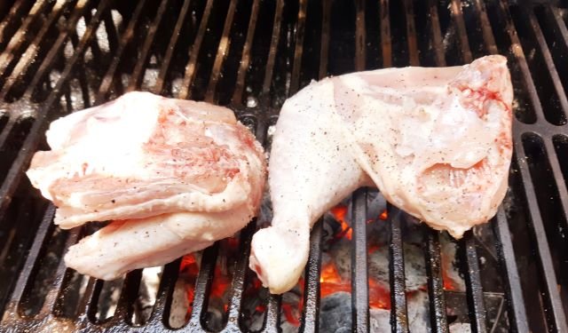 Pollo