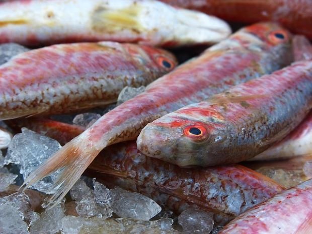Salmonetes