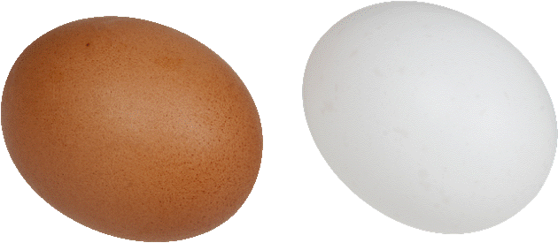 Huevos, para hacer Huevos sin Romper