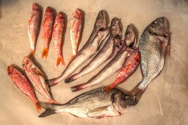 Pescados, para hacer el Caldero del Mar Menor