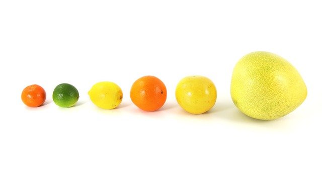 Cítricos para hacer la Mermelada de 5 Cítricos