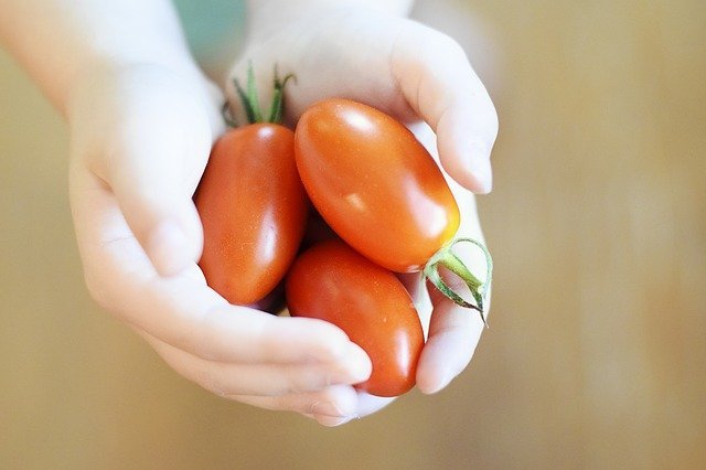Tomate Cherry