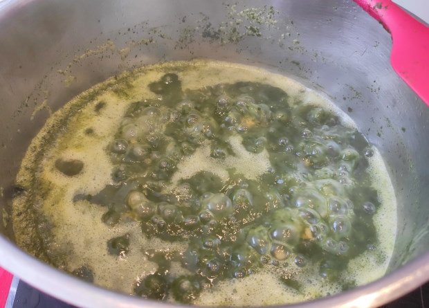 Garbanzs con Espinacas4