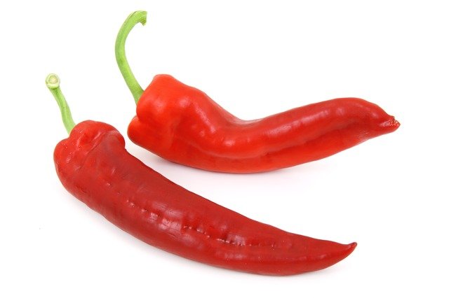 Guindilla
