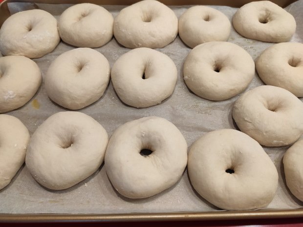 bagel 10 Bagels