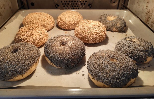 bagel 16 Bagels