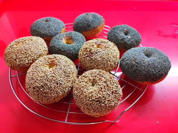bagel 17 Bagels
