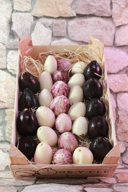 Berenjenas para hacer Berenjenas de Almagro en Vinagre