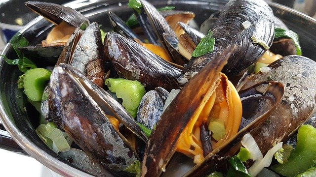 Mejillones