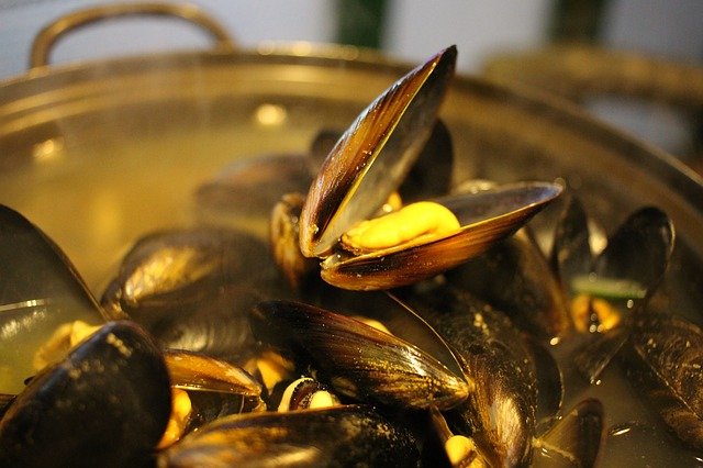Mejillones a la Provenzal, Receta muy Sabrosa