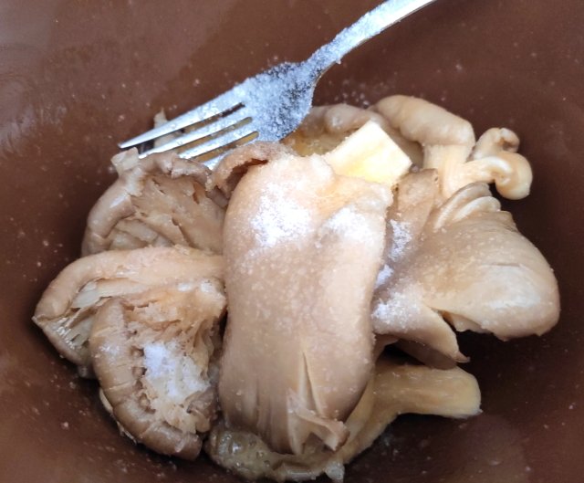 setas_jm1_640 Setas Rebozo