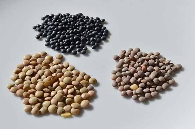 Lentejas, para hacer la receta de Lentejas con Sepia y Langostinos