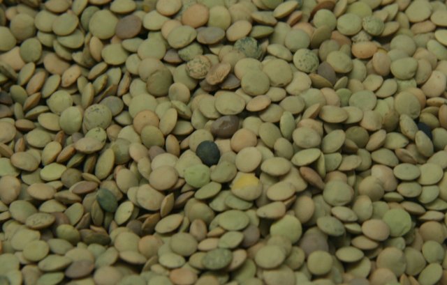 Lentejas, para hacer la receta de Lentejas con Sepia y Langostinos