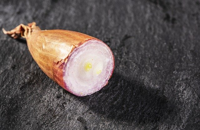 Charlotas, uno de los Tipos de Cebollas y sus Usos