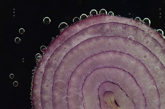 Cebolla agua