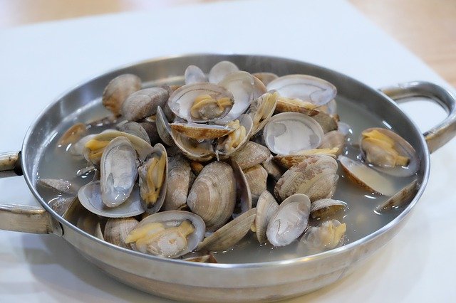 Almejas