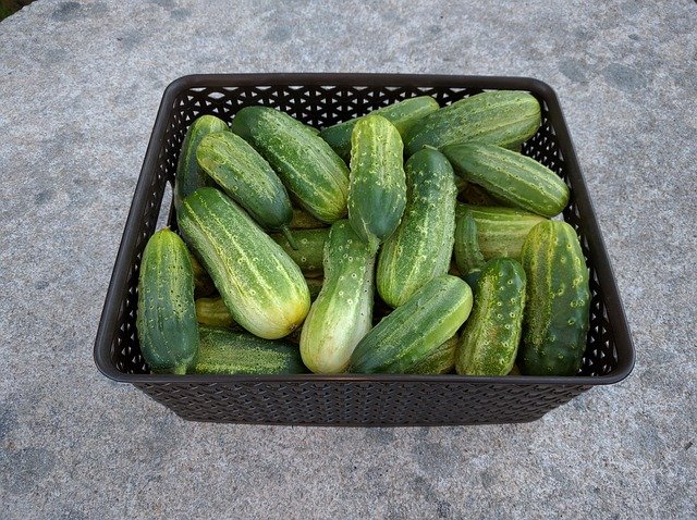 Pepinillos Limpios