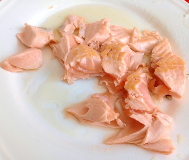 Salmón