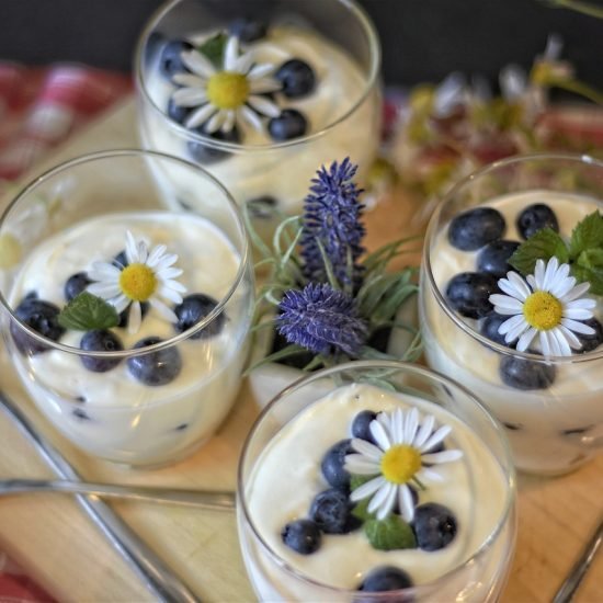 Yogur Casero con Arándanos