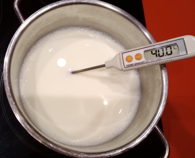 Yogur Casero