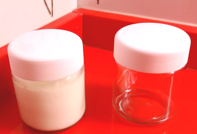 Yogur Casero