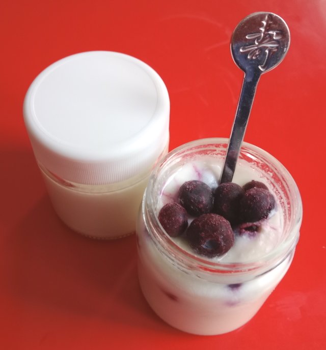 Yogur Casero