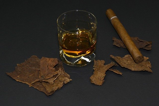 El Tabaco y el Alcohol no son buenos para alimentar nuestro Cerebro