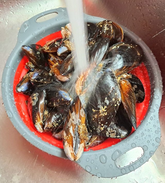 Lavado Mejillones