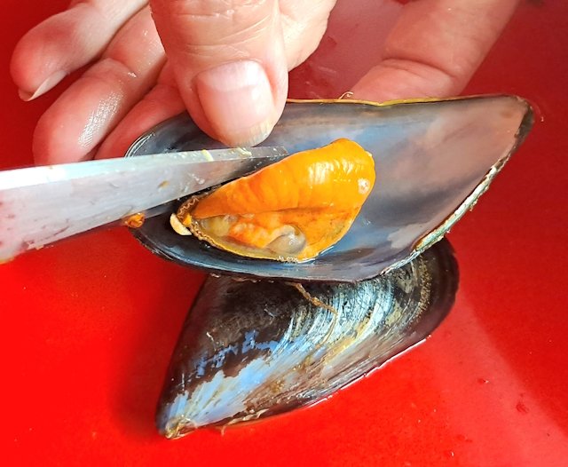 Mejillones en Vinagreta