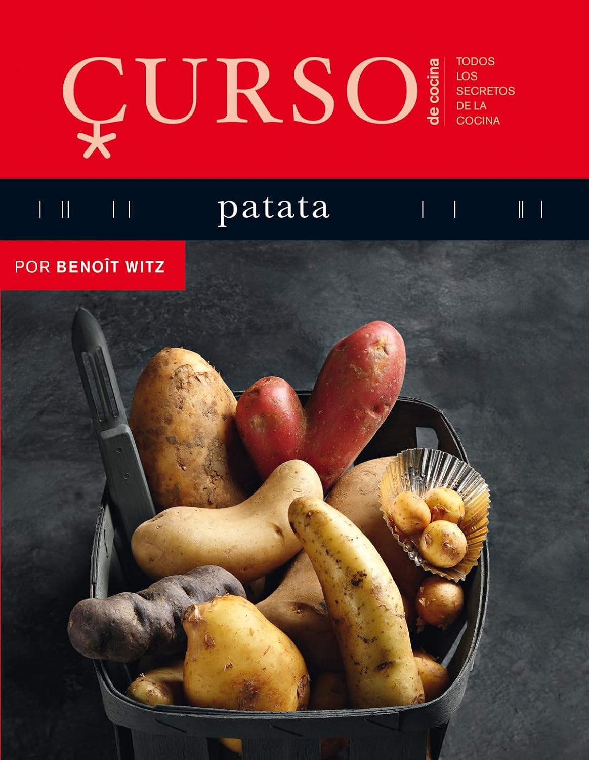 Libro de receta de las Patatas con Salsa Alioli (Ajolio)