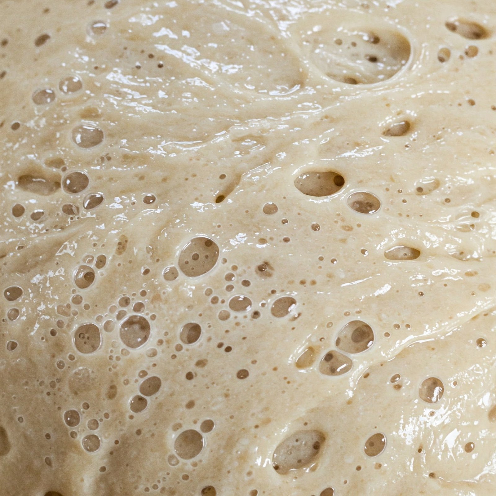Poolish