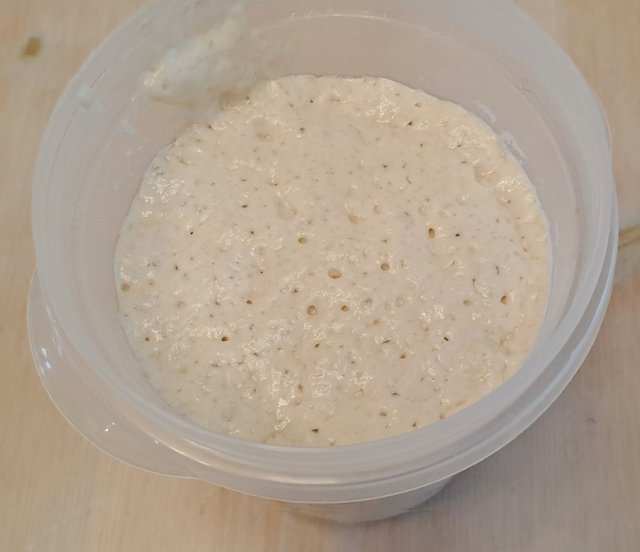 Poolish Maduro, para hacer la hogaza integral de espelta con nueces