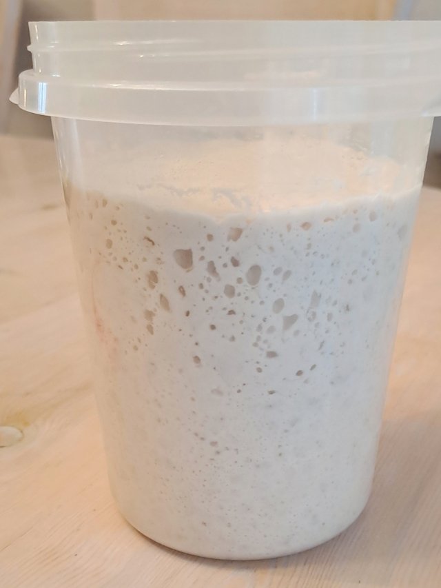 Poolish Maduro, para hacer la hogaza integral de espelta con nueces