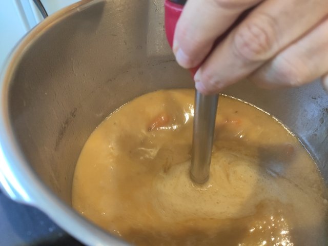 Rabo de Toro